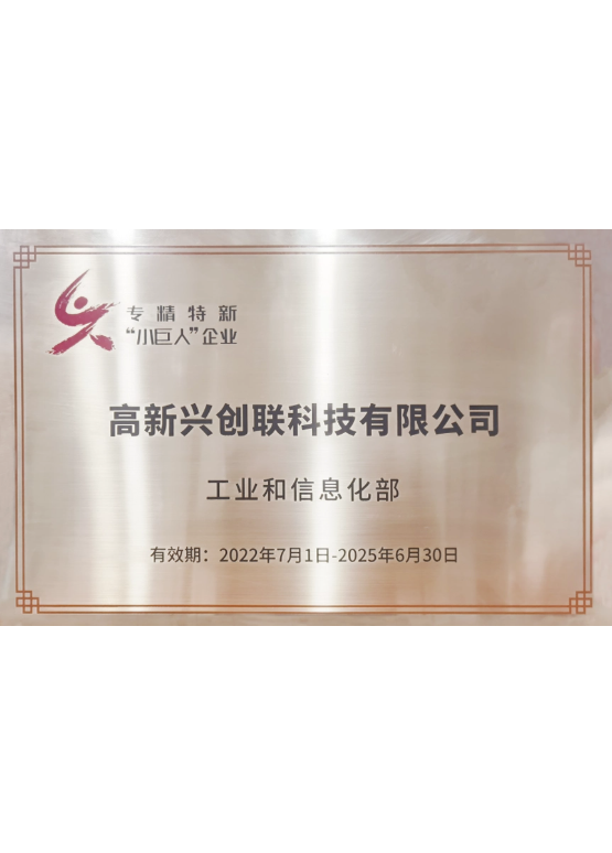 国家专精特新“小巨人”企业